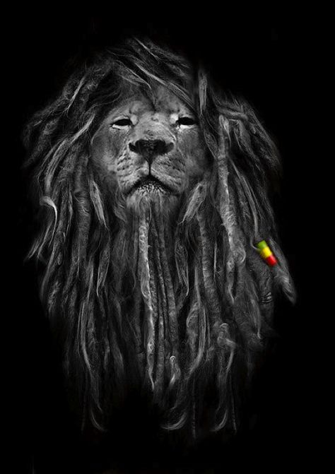 Rasta Lion good idea for a Leo tat Rasta Lion, Lion Tattoo, A Lion, A Black, Lion, Dreadlocks, Black And White, Tumblr, White