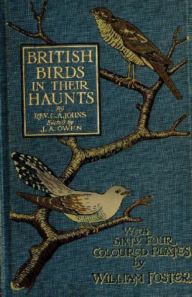 Antique Book Cover in Blue Linen .... British Birds and Their Haunts ~ by Rev. C.A. Johns .... Sixty Four Coloured Plates by William Foster .... Vintage Book Cover, British Birds, Ivy House, Bird Book, Vintage Book Covers, Beautiful Book Covers, Antiquarian Books, Book Images, Field Guide