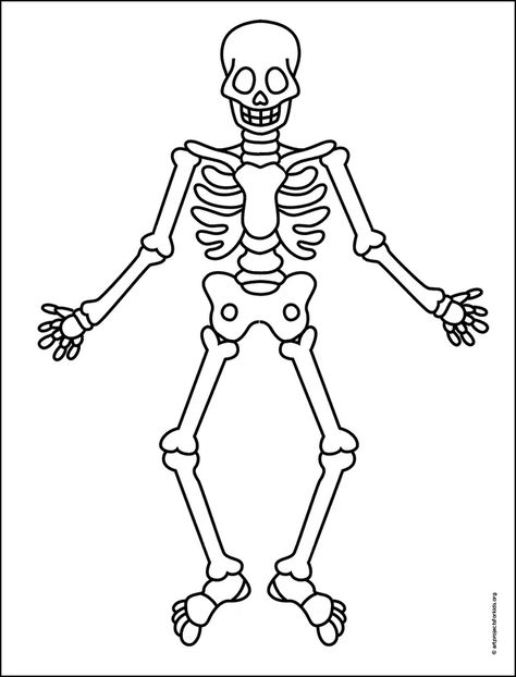 Skeleton Sketch Simple How To Draw, Human Skeleton Drawing Simple, Easy Draw Skeleton, Cute Skeleton Drawing Easy, How To Paint A Skeleton, How To Draw A Skeleton Easy, Free Skeleton Printables, Skeleton Template Printable Free, Halloween Drawings Skeleton