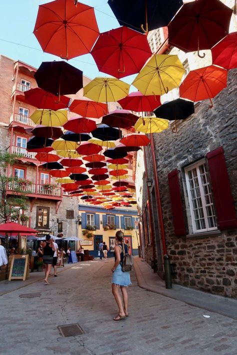 Umbrella Alley, Old Quebec City, Beautiful Umbrella, Umbrella Street, Ions Design, Canadian Road Trip, Quebec City Canada, Street Pictures, Canada Map