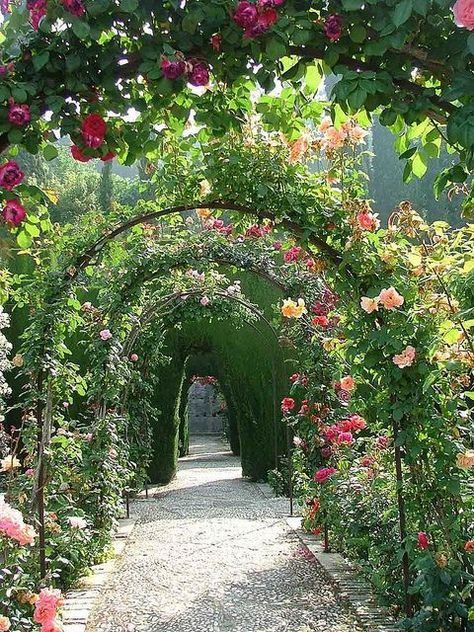 Garden Of Time, Rose Garden Aesthetic, Place Photography, Rose Garden Landscape, Palace Gardens, Tea Wedding, Alhambra Palace, Palace Garden, Garden Arches