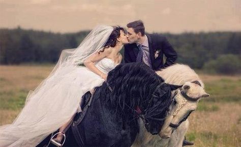 wild love Horse Wedding Photos, Equestrian Wedding, Horse Wedding, Boda Mexicana, Western Wedding, Cute Horses, Pretty Horses, Horse Love, Horse Girl