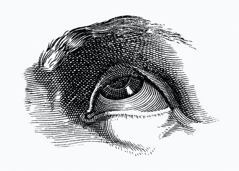 Vintage Eye Illustration, Organs Sketch, Eyeball Drawing, Eye Png, Vintage Eyes, Eyes Illustration, Public Bathroom, Eye Illustration, Cross Hatching