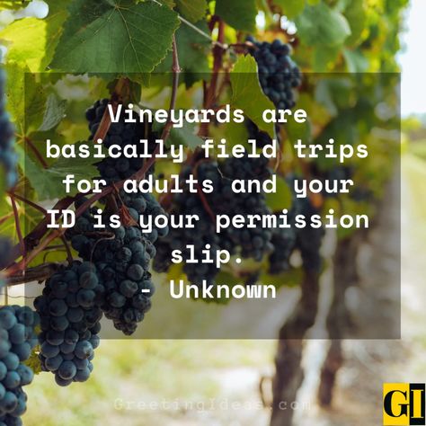 Vineyard Quotes Greeting Ideas 3 Vineyard Quotes, Winery Quotes, Greeting Ideas, Martha’s Vineyard, Wine Trail, Quotes For Instagram, The Vineyard, Kahlil Gibran, Country Humor