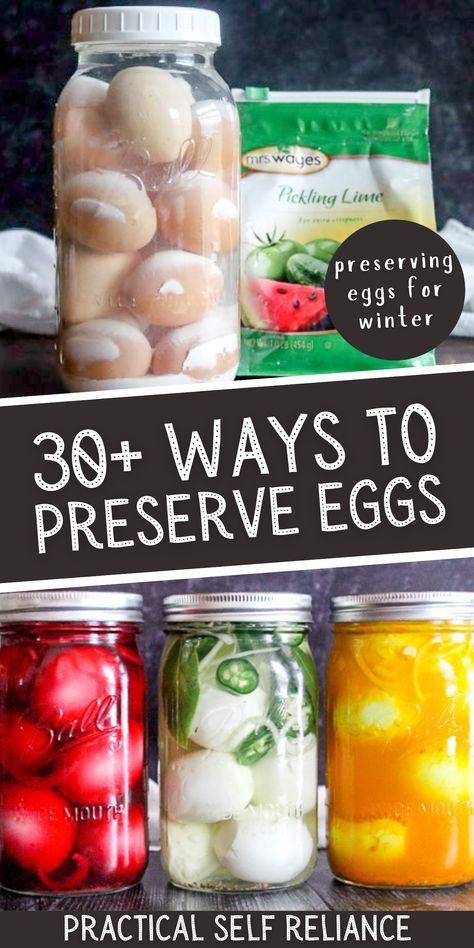 30+ Ways to Preserve Eggs - Here are over 30 ways of preserving eggs for winter! from pickled eggs to salt cured egg yolks to preserving eggs in lime! preserving eggs food storage | homemade pickling recipes | preserving eggs for winter | preserving fresh eggs Home Canned Food Storage, Ways To Preserve Eggs, How To Can Eggs, Preserving Eggs Food Storage, Canned Eggs Recipe, Water Bath Canning Pickled Eggs, Good Preservation, Preserving Eggs In Lime, How To Preserve Fresh Eggs