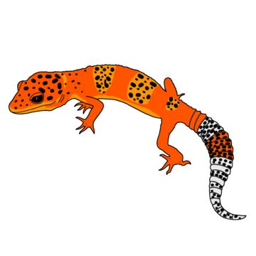 Leopard Gecko Morphs, Macan Tutul, Leopard Gecko, Gecko, Png Clipart, Quick Saves