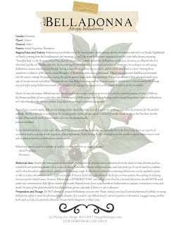 Magical and Medicinal Uses of Belladonna. Includes FREE BOX page. Ivy Magical Properties, Magickal Plants, Witch Ingredients, Magickal Herbs, Witch Herbs, Green Witchcraft, Plant Magic, Magic Herbs, Magical Herbs