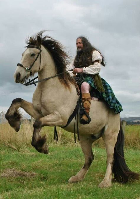 Highland Warrior, Highlands Warrior, Clydesdale Horse, Clydesdale Horses, Big Horses, All The Pretty Horses, Clydesdale, Draft Horses, The Pride