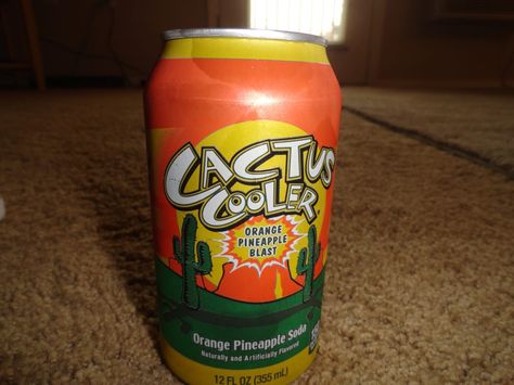 Cactus Cooler! Cactus Cooler, Fanta Can, Beverage Can, Favorite Things, Pineapple, Cactus, Condiments, Amber, Canning