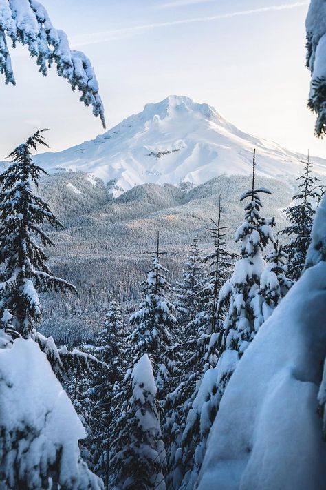 Mount Hood Oregon, Landscape Photography Tips, Mt Hood, Adventure Photography, Winter Scenery, Nature Adventure, Winter Landscape, Photography Nature, Winter Scenes