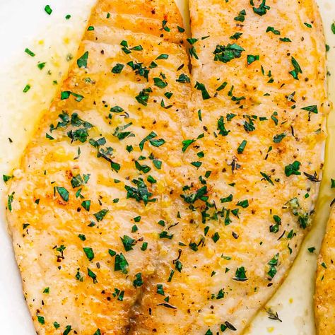 Fish Fillet With Lemon Butter Sauce, Tilapia Lemon Cream Sauce, Pan Seared Talapia Ideas, Cream Sauce For Tilapia, Pan Seared Tilapia Recipes, Branzino Fillets Recipe, Tilapia Sauce, Lemon Garlic Tilapia, Lemon White Wine Sauce