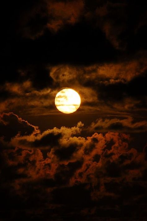 Shoot The Moon, Night Sky Wallpaper, Sky Moon, Moon Pictures, Moon Photography, Brown Wallpaper, The Full Moon, Beautiful Moon, The Night Sky