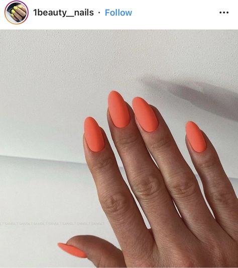 Matte Neon Orange Nails Neon Orange Matte Nails, Matt Neon Nails, Matte Coral Nails, Orange Nails Matte, Matte Orange Nail, Orange Matte Nails, Light Orange Nails, Matted Nails, Neon Orange Nails