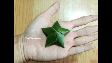 KREASI JANUR - MEMBUAT BINTANG LIMA HIASAN POHON NATAL Palm Leaf Art, Palm Frond Art, Flax Weaving, Coconut Leaves, Flax Flowers, Palm Tree Leaves, Diy Weaving, Leaf Crafts, Flower Diy Crafts