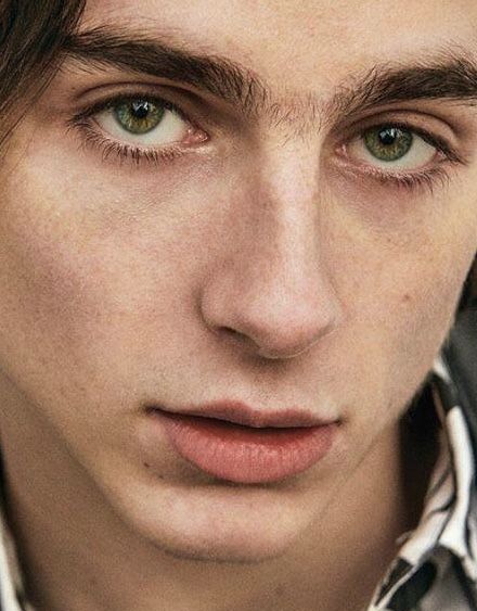 timothee chalamet gq 얼굴 그리기, Timmy T, Sleepy Eyes, Face Reference, Fan Fiction, Timothee Chalamet, 인물 사진, Liam Payne, Niall Horan