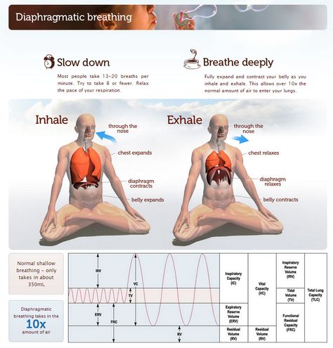 Diaphramic Breathing, Abdominal Breathing, Diaphragmatic Breathing, Yoga Breathing, Stomach Muscles, Deep Breathing, Yoga Mantras, Health Blogger, Deep Breathing Exercises