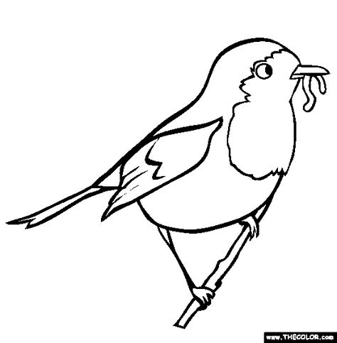 100% Free Bird Coloring Pages. Color in this picture of a Robin and others with our library of online coloring pages. Save them, send them; they're great for all ages. Red Robin Bird, Robin Pictures, Flying Bird Tattoo, Garden Coloring Pages, Bird Template, Bird Coloring Pages, Robin Bird, Online Coloring Pages, Bird Silhouette