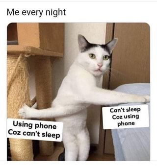 Sleep Meme, Can't Sleep, True Memes, Drama Memes, Memes Br, Funny Cat Memes, Life Memes, Love Memes, Edgy Memes