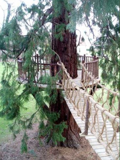 I would love to build three little platform forts with bridges between our backyard trees. Kids Backyard Playground, Rope Bridge, Swinging Bridge, Backyard Trees, Tree Fort, Tree House Diy, Kids Outdoor Play, Tree House Designs, Natural Playground