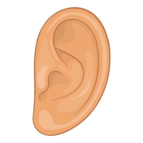 style icons,cartoon icons,ear icons,ear,icon,cartoon,vector,illustration,style,web,design,isolated,white,background,realistic,deaf,health,aid,sound,people,body,part,sense,human,hear,shape,healthy,sensory,music,loss,skin,closeup,concha,dedicine,auricle,silence,biology,darwin,person,audible,test,fragment,sign,deafness,art,head,audio,care,organ,hospital,helix,stereo,people vector,music vector,cartoon vector,human vector,person vector,head vector,web vector,sign vector,health vector Human Ear Diagram, Ear Clipart, Ear Illustration, Udl Lesson Plans, Ear Shapes, Ear Images, Head Cartoon, Multiplication Word Problems, Cartoon Ears