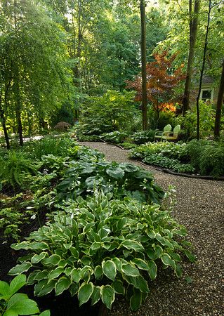 My Garden - Lori J Roach Photos Forest Landscaping Ideas, Forest Home Landscaping, Forest Front Yard, Wooded Lot Landscaping Ideas, Forest Front Yard Landscaping, Wooded Backyard Landscape Forests, Wooded Backyard Landscape, Pacific Northwest Garden, Northwest Garden