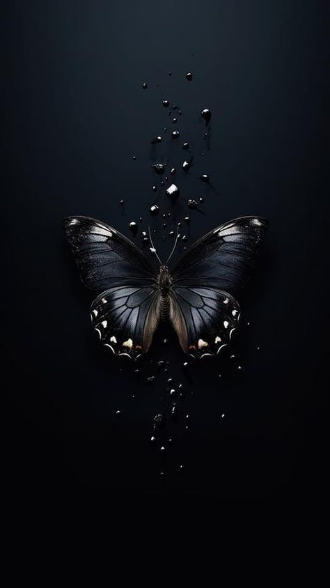 Black Designs Wallpaper, Wallpaper Backgrounds In Black, Butterfly Wallpaper Black Background, Black Butterfly Wallpaper Iphone, Black Image Background, Cute Simple Wallpapers Black, Butterfly Wallpaper Black, Wallpaper Ideas Black, Wallpaper Black Butterfly