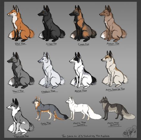 fox color chart Fox Drawing, Fox Pictures, Canine Art, Pet Fox, Animale Rare, Pretty Animals, Animal Facts, Fox Art, Animal Sketches