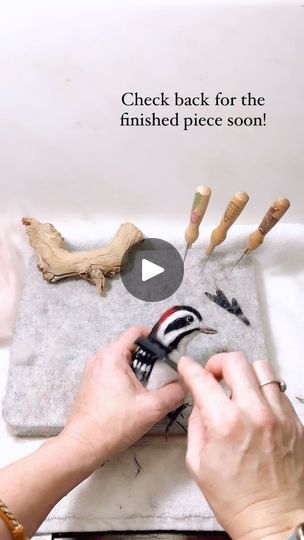 Downy Woodpecker, Wire Tutorials, Wool Art, Things To Make, Bird Sculpture, Needle Felted Animals, Process Art, New Project, My Favorite Things