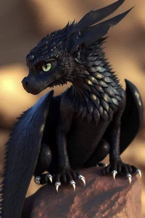 Dragon Art Doll, Tiny Dragon Art, Dragon Flying Drawing, Toothless Dragon Art, Dragon Feathers, Dragon Breeds, Vampire Dragon, European Dragon, Cool Dragon Pictures