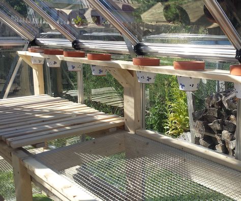 Diy Greenhouse Shelves, Greenhouse Tables, Greenhouse Benches, Greenhouse Shelves, Garden Shed Interiors, Greenhouse Construction, Green House Ideas, Shed Greenhouse, Diy Greenhouse Plans