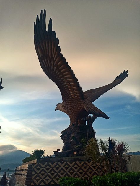 Burung Helang Langkawi, Fav Place, Sky View, Bald Eagle, Art Inspiration, Animals, Quick Saves, Art