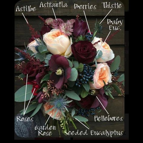 Keefe's Flowers on Instagram: “Something beautiful to hopefully inspire you on this nice Saturday afternoon. . . . #saturday #astilbe #astrantia #berries #thistle…” Bridal Bouquet Peach, Eucalyptus Bouquet, Ren Fest, Fall Decor Inspiration, Deco Floral, Burgundy Wedding, Winter Wedding, Bridal Bouquet, Wedding Inspo