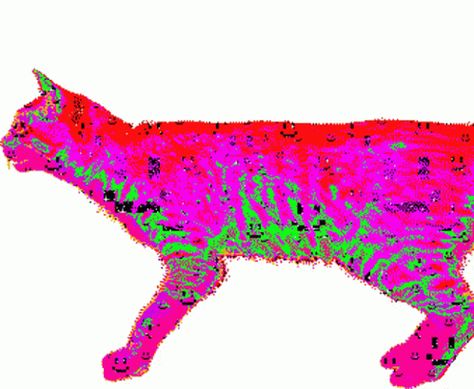 Cat Glitch Sticker - Cat Glitch Distorted - Discover & Share GIFs Glitch Gif, Glitch Art, Animated Gif, Cool Gifs, Gif, Kitty, Animals, Art