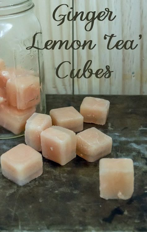 Tea Cubes, Lemon Ginger Tea Benefits, Lemon Tea Benefits, Ginger Lemon Tea, Herbal Teas Recipes, Lemon Drink, Ginger Recipes, Tea Benefits, Lemon Tea