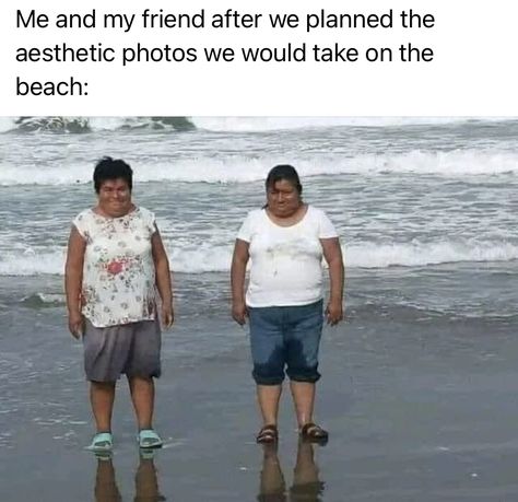 Beach Memes, Friendship Memes, Clean Memes, Relatable Post Funny, Very Funny Pictures, Real Funny Jokes, Some Funny Jokes, Really Funny Joke, Funny Relatable Quotes