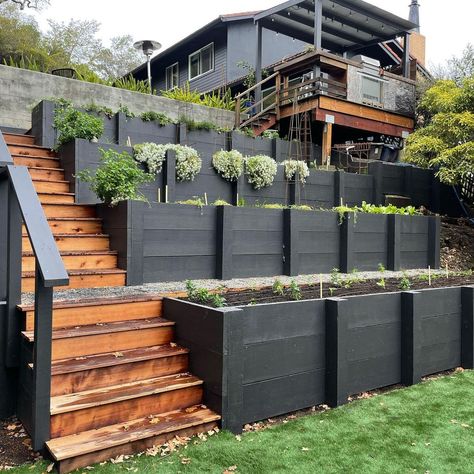 Gardening On A Slope Landscaping, Front Yard On A Hill Landscaping, Steep Slope Landscaping Ideas Retaining Walls, Steep Landscaping Ideas, Terraced Backyard Ideas, Raised Garden Beds On Sloped Yard, Tiered Raised Garden Beds On A Slope, Landscaping For Sloped Backyard, Steep Sloped Backyard Landscaping