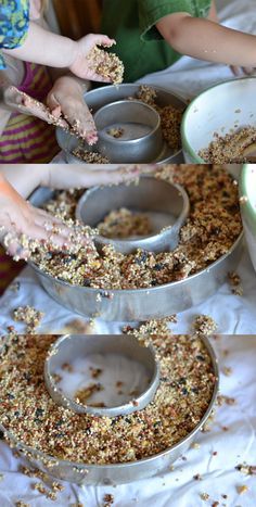 bird seed wreaths!! Looks so fun! And site has many other ideas! I would love to do this with my kids one year! Fun! /search/?q=%23homemadebirdfeeder&rs=hashtag /search/?q=%23birdfood&rs=hashtag Bird Seed Ornaments, Bird Seed Feeders, Make Your Own Wreath, Homemade Bird Feeders, Bird Treats, Diy Bird Feeder, Outdoor Crafts, Diy Birds, Bird Food