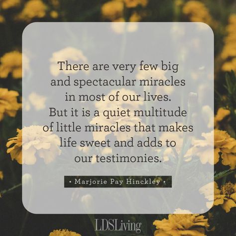 Quotes On Miracles, Miracle Quotes, Lds Living, Giving Quotes, General Conference Quotes, Conference Quotes, Uplifting Thoughts, Church Quotes, Resources For Teachers