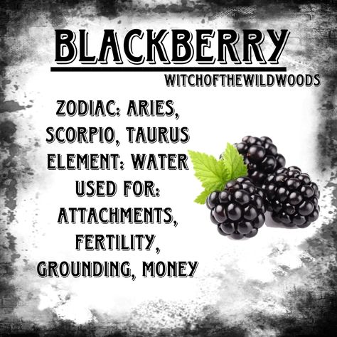 WitchOfTheWildWoods Raspberry Witchcraft, Astrology Meaning, Plant Magic, Kitchen Magic, Elemental Magic, Kitchen Witchery, Witch Garden, Magic Herbs, Herb Tea