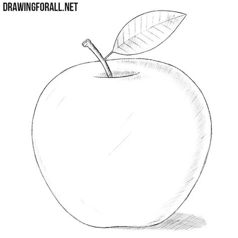 Draw An Apple, Apple Pencil Drawing, Apple Sketch, Apple Drawing, Drawing Apple, Fruit Sketch, Scripture Doodle, Pencil Sketches Easy, Apple Picture