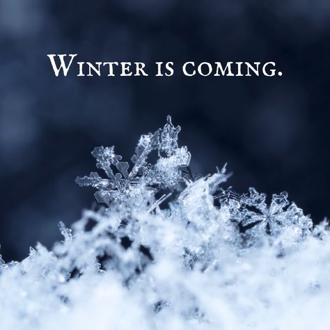 Winter is coming. - Mindset Made Better Winter Is Coming Quotes, Mean While, House Stark, Catch Phrase, Winter Aesthetic, Winter Is Coming, Red Wedding, A Fan, Game Of Thrones