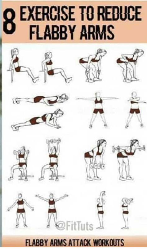 Arm Workouts For Beginners, Arm Circuit Workout, Arm Workout Gym, Arm Workout For Beginners, Good Arm Workouts, Tone Arms Workout, Pilates Workout Plan, Arm Workouts At Home, Workouts For Beginners