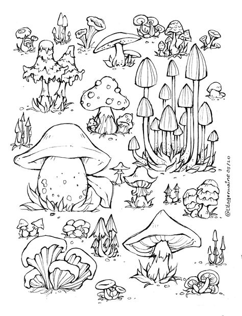 Detailed Coloring Pages, Study Course, Mushroom Art, Coloring Pages To Print, Coloring Book Art, Cute Coloring Pages, Doodle Drawings, Coloring Book Pages, Colouring Pages