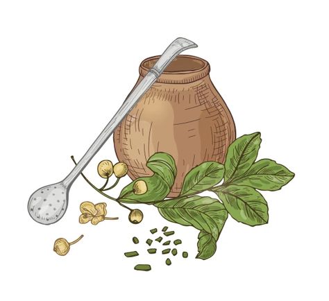 Yerba mate cup isolated on white background Vector Image Tea Vector, Yerba Mate Tea, Mate Tea, Hand Drawn Vector Illustrations, Yerba Mate, Hand Drawn Vector, Cartoon Illustration, Transparent Png, Free Vector Images