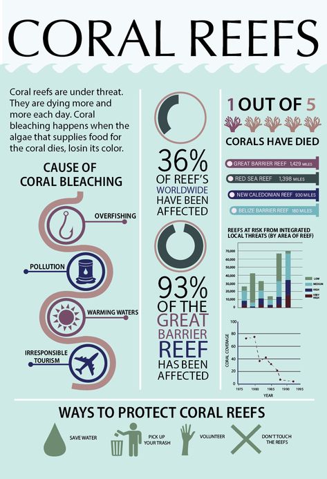 Coral Reef Infographic, Overfishing Poster, Marine Biology Notes, Biology Poster, Hard Coral, Artificial Reef, Coral Bleaching, Biology Facts, High School Life Hacks