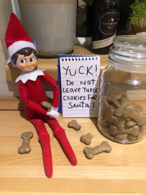 Gift Ideas From Elf On The Shelf, Elf On The Shelf Dog Food, Elf On The Shelf Puppy Ideas, Elf On The Shelf Ideas With Nerds, Elf On A Shelf Dog Ideas, Elf Dog Ideas, Couple Elf On The Shelf Ideas, Elf On The Shelf Campfire, Elf On The Shelf Animal Ideas