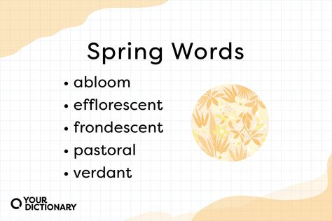 What better than learning beautiful spring words to welcome the blooming season to your year? Learn spring-related words and get in the seasonal mood here! Spring Poem, Spring Vocabulary, Weather Words, Describing Words, Spring Words, Spring Quotes, Fancy Words, Facts For Kids, Spring Sign