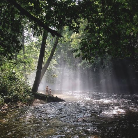 Forest Waterfall, Pisgah National Forest, Best Campgrounds, Scenic Road Trip, Scenic Roads, Forest Road, Scenic Byway, Smoky Mountain National Park, Summer Road Trip