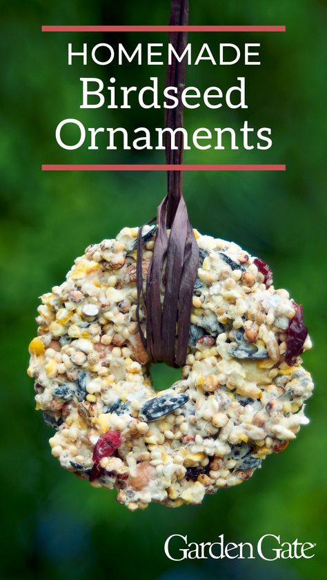 Decorate your garden or make a gift for a friend — birds will love these easy DIY birdseed ornaments! #BirdGarden #Birdseed #BirdProject #DIY #FeedtheBirds #GardenGateMagazine Bird Seed Ornament, Birdseed Pinecones, Birdseed Crafts, Birdseed Ornaments Recipe, Homemade Bird Seed, Diy Birdseed Ornaments, Bird Seed Crafts, Bird Seed Ornaments Recipe, Seed Gifts