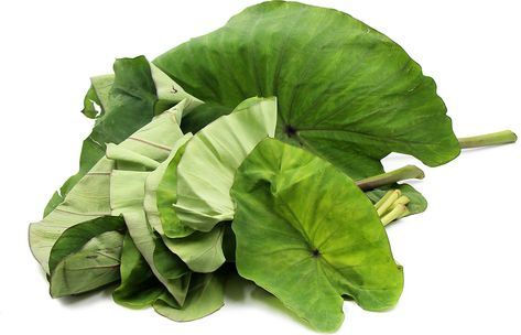 Squid Luau, Hawaii Foods, Taro Leaves, Lau Lau, Plant Vegetables, Hawaiian Recipes, Hawaiian Leaf, Organic Fruits And Vegetables, Island Food